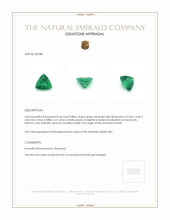 0.64 Ct. Emerald from Brazil Appraisal