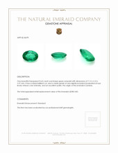 0.65 Ct. Emerald from Zambia Appraisal