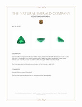 0.68 Ct. Emerald from Brazil Appraisal