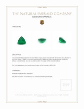 0.70 Ct. Emerald from Brazil Appraisal