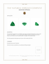 0.72 Ct. Emerald from Brazil Appraisal