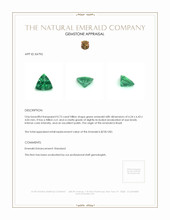 0.73 Ct. Emerald from Brazil Appraisal