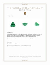 0.73 Ct. Emerald from Brazil Appraisal