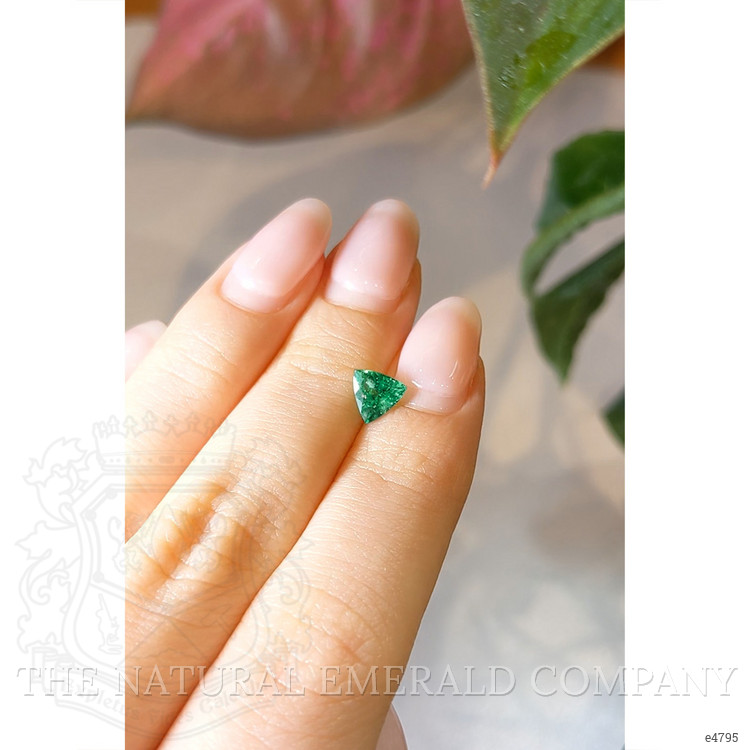 0.73 Ct. Emerald from Brazil