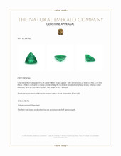 0.74 Ct. Emerald from Brazil Appraisal