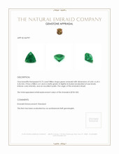 0.75 Ct. Emerald from Brazil Appraisal