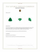 0.75 Ct. Emerald from Brazil Appraisal
