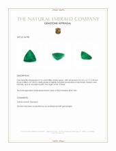 0.76 Ct. Emerald from Brazil Appraisal