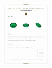 5.99 Ct. Emerald from Zambia Appraisal