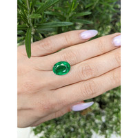 5.99 Ct. Emerald from Zambia Life Style