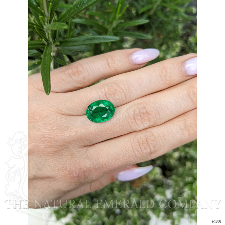 5.99 Ct. Emerald from Zambia