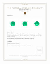 0.95 Ct. Emerald from Colombia Appraisal