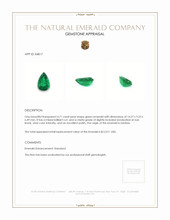 4.71 Ct. Emerald from Zambia Appraisal