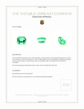 2.81 Ct. Emerald from Colombia Appraisal