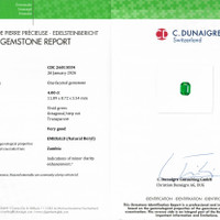 Jewelry Scan Report