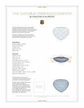 Jewelry 3 D Scan Report