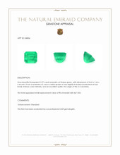 2.97 Ct. Emerald from Colombia Appraisal