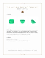 2.97 Ct. Emerald from Colombia Appraisal