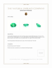 4.54 Ct. Emerald from Brazil Appraisal