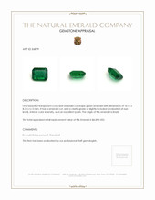 3.53 Ct. Emerald from Brazil Appraisal