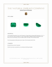 3.66 Ct. Emerald from Brazil Appraisal