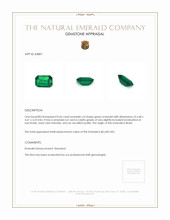 0.66 Ct. Emerald from Brazil Appraisal