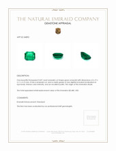 0.87 Ct. Emerald from Brazil Appraisal