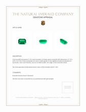 1.03 Ct. Emerald from Brazil Appraisal