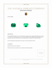 1.14 Ct. Emerald from Brazil Appraisal