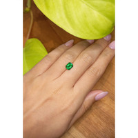 1.34 Ct. Emerald from Brazil Life Style