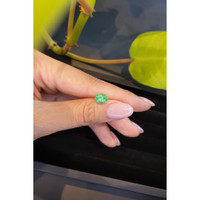 1.75 Ct. Emerald from Russia Life Style