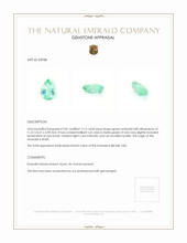 3.15 Ct. Emerald from Brazil Appraisal