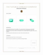1.02 Ct. Emerald from Nigeria Appraisal