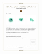 2.61 Ct. Emerald from Russia Appraisal