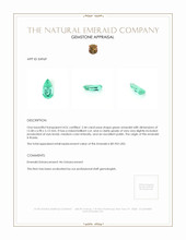 Jewelry Appraisal