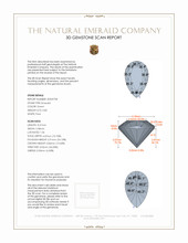 Jewelry 3 D Scan Report