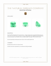 0.59 Ct. Emerald from Russia Appraisal