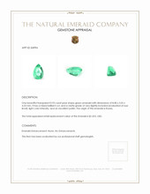 0.93 Ct. Emerald from Russia Appraisal