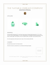 0.79 Ct. Emerald from Russia Appraisal