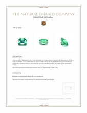 0.81 Ct. Emerald from Russia Appraisal