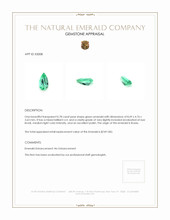 0.78 Ct. Emerald from Russia Appraisal