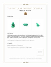 0.68 Ct. Emerald from Russia Appraisal