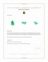 0.63 Ct. Emerald from Russia Appraisal