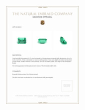 0.73 Ct. Emerald from Russia Appraisal