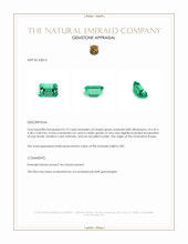 0.73 Ct. Emerald from Russia Appraisal