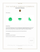 0.66 Ct. Emerald from Colombia Appraisal