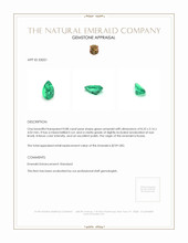 0.88 Ct. Emerald from Russia Appraisal