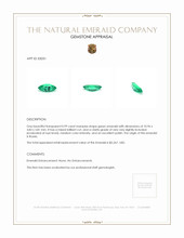 0.99 Ct. Emerald from Russia Appraisal