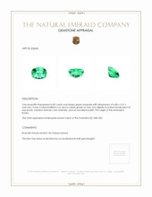 0.82 Ct. Emerald from Russia Appraisal