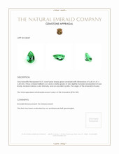 0.51 Ct. Emerald from Russia Appraisal